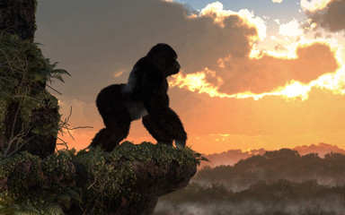 A silverback gorilla stands on a rocky, vegetation covered ledge overlooking a jungle basin.  The great ape watches as the sunset. 3D Rendering  © Daniel Eskridge
