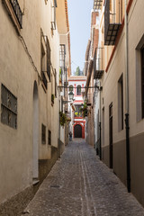 Old buildings of the streets around the cathedral of Granada, in the old town in Granada, Spain