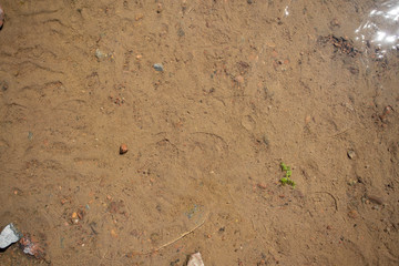 texture of sandy river Bank in the rays of the setting sun