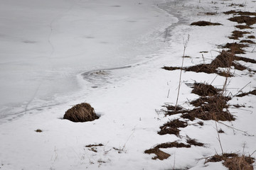Frozen Lake in Winter