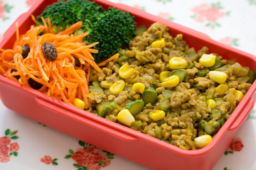 ドライカレーのお弁当  Japanese lunch box