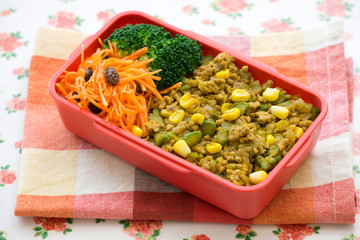 ドライカレーのお弁当  Japanese lunch box