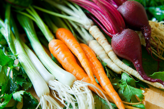 Healthy fresh vegetables from organic farm -  ingredients food market: beetroot, carrots, parsnips, parsley root, celeriac, leek and onions with chive, with fresh dill herb -  spring vegetable soup.