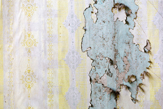 Texture of yellow wallpaper peeling form a wall on a wall in an abandoned house
