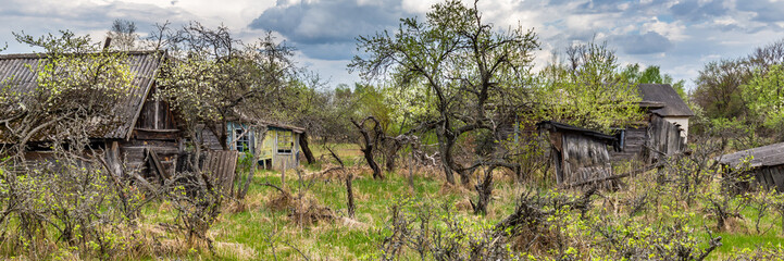 Houses overgrown with bushes and trees in an abandoned village in Chernobyl exclusion in Belarus