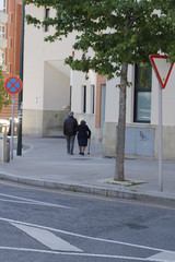 Ageing couple walking in the street