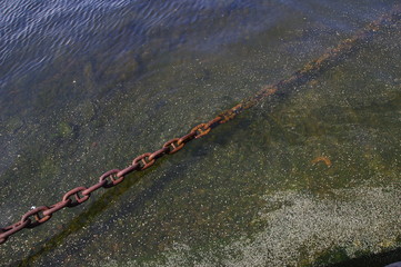 Roste Kette in Stockholm