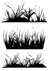 Set with silhouettes of grass, black and white vector illustration