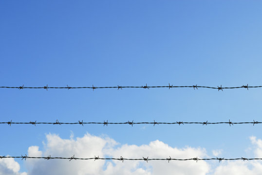 963 Best 有刺鉄線 Images Stock Photos Vectors Adobe Stock