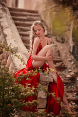 Fototapeta na wymiar beautiful girl in a red sexy dress