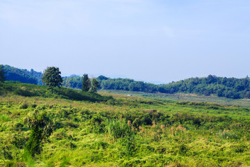 Landscape of green meadow on the mountain with blue sky and clond