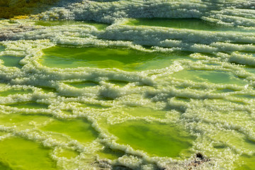 Acid ponds in Dallol site in the Danakil Depression in Ethiopia, Africa