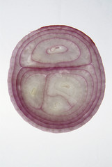 Fototapeta premium Cross section slice of red onion against light background