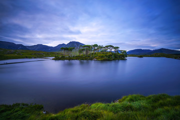 Fototapeta na wymiar Pine Trees Island in the Derryclare Lake at sunset