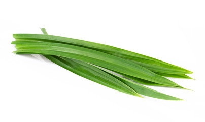 Fresh green pandan leaves isolated on white background