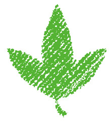 Leaf illustration  (handwriting style / Colored pencil stroke) 