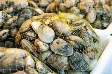 Fresh clams on mesh bag for sale in the market