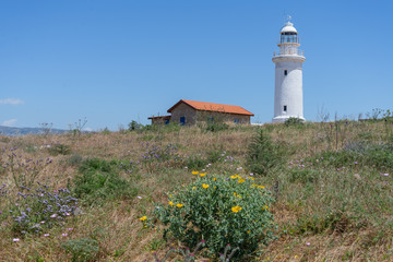 Fototapeta na wymiar summer landscape with a view of the lighthouse
