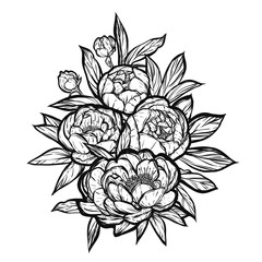 Vector illustration. Peonies bouquet. Handmade, background white, tattoos, prints on T-shirts