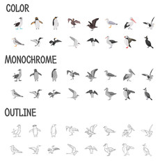 Obraz na płótnie Canvas Different sea birds color flat, black and white colors, line, simple concept icons set