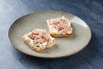 Delicious tuna sandwich, served with radish and cucumber
