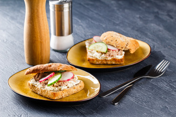 Delicious tuna sandwich, served with radish and cucumber