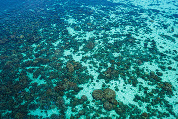 Fototapeta na wymiar Aerial drone top view of the crystal clear lagoon sea water surface with coral reef