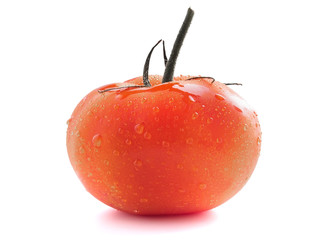 Red tomato on a sprig with water drops