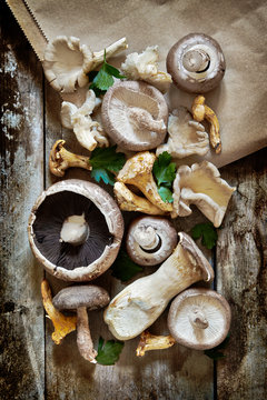 Assorted mushrooms on a wooden board