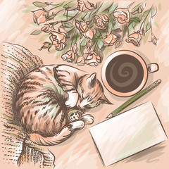 Flat Lay. Colored sketch drawing depicting a sleeping cat, a bouquet of roses, a cup of tea, a sheet of paper and a pencil.