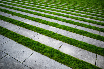 path in grass