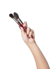 Female hand with two make-up artist brushes