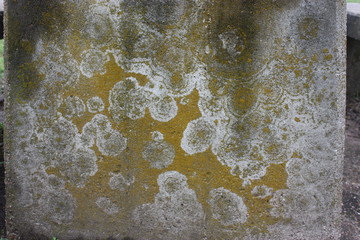 texture on concrete