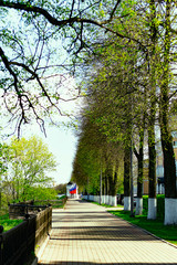 alley in the park