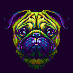 Pug. Abstract multicolored portrait of the head of a pug breed dog on a dark purple background.