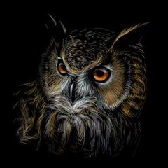 Printed roller blinds Owl Cartoons Long-eared Owl. Color graphic hand-drawn portrait of an owl on a black background.