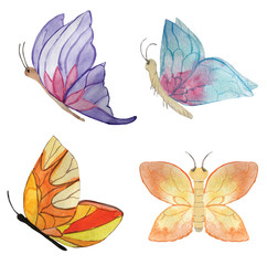 set of different butterflies on a white background. watercolor illustration for design