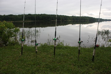 fishing rods