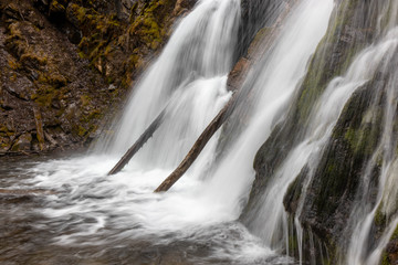 waterfall in the forest