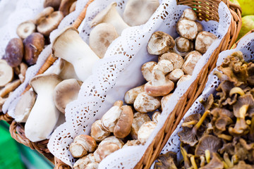 King Oyster Mushrooms, shiitake, chanterelle and other  on the fungi market -  farm shop food .