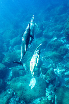 Mermaid swimming with dolphins