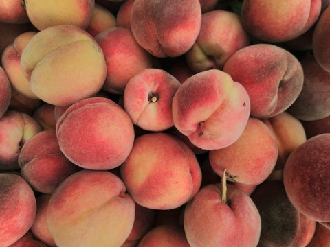 peaches