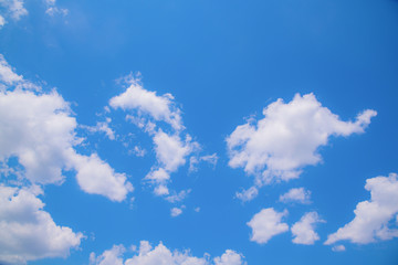 初夏の青空