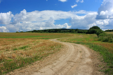 Fototapeta na wymiar Dirt country winding road in a field