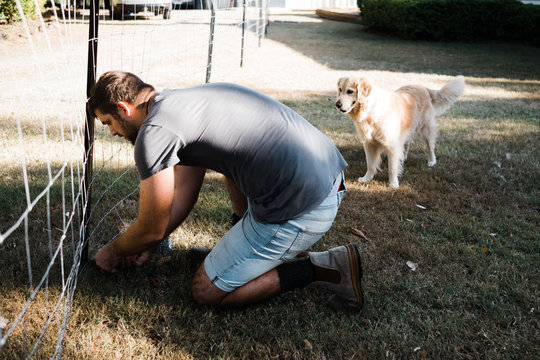 male erects temporary dog wire fence