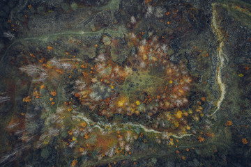 Voderady Beechwood is a National Nature Reserve. There are natural beech forests on relatively acidic soil in the reserve, a type of forest habitat that needs protection.