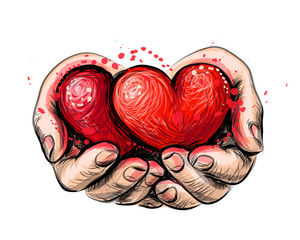 Human hands hold 2 red hearts - a symbol of love. Hand-drawn sketch color drawing on white background with splashes of watercolor.