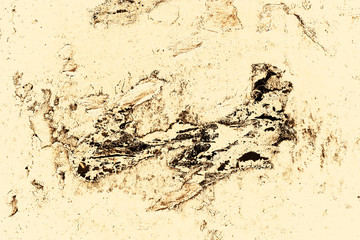 Vintage yellow background. Rough painted wall of aspen gold color. Imperfect plane of golden colored. Uneven old decorative toned backdrop of yellow tint. Texture of gold hue. Ornamental stony surface