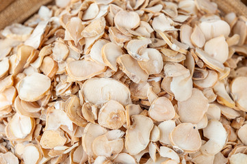 Shuk levinsky market: Iranian garlic, Tel Aviv, Israel