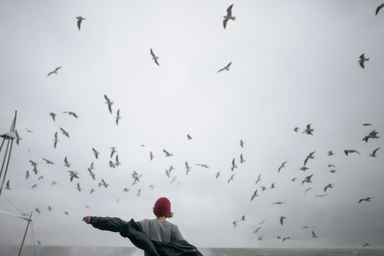 flying with the birds
